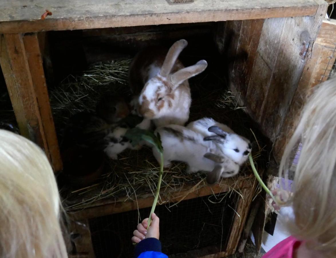 Apartmán na Sedliackom Dvore - Brezno Esterno foto